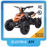 Electric ATV 36V 500W Brushed Motor for Kids Factory Directly (TBQ01)