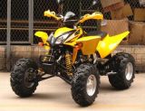 Sports Style with New Fashionable Look ATV 300cc (NS-24)