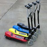 120W Electric Scooter CS-E8004