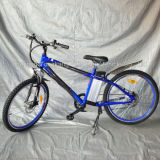 Electric Bicycle (YCEB-7506A)