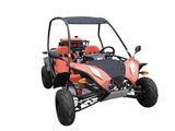 110cc Go Kart / DF110GK CE