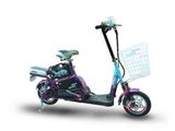 Electric Bike (TDR08612)