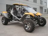 Renli 800cc Go Kart Dune Buggy