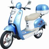 Electricity Scooter (BDEB-8006(Xiaoguiwang))