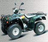 ATV (ZL-ATV250A)