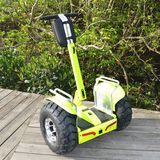 China Self Balance 2 Wheels Electric Scooter Electric Mobility Scooter