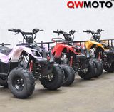 CE 110CC 125CC ATV Quad Bike Automatic (QW-ATV-02C)