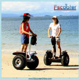 Two Wheeled Self Balancing Scooter with CE