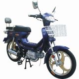 Gasoline Bicycle (GB-004)
