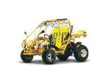 Reasonable Price Mini ATV Manufacture (D13-00077) -Golden Memer of Alibaba.COM