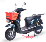 1000W Electric Scooter (AG-FDM13) 