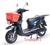 1000W Electric Scooter (AG-FDM13) 