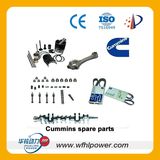 Cummins Engine Spare Parts