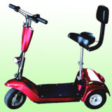Electric Scooter ZS-B007