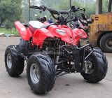 Sales Promotion OEM Quad Bike for Sale