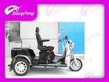 Scooter Tricycle, Disabled Tricycle, Three Wheels Tricycle