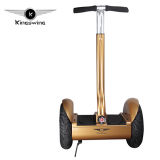 Kingswing 1000W 2 Wheel Electric Chariot Scooter Self Balancing Scoote