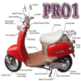 Gas Scooter (PRO 1)