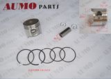 Motorcycle Engine Spare Parts Piston and Rings (ME021000-0130)