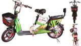 Electric Bike (BS-XHD)