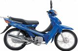 EEC Scooter (100ES1-1)