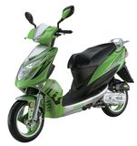 Gasoline Scooter-HL50QT-47(1)