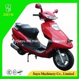 Novel 150cc Gas Scooter (Shark)