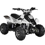 Sports ATV Quad 110cc for Kids