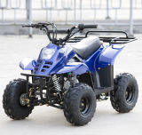 on Sale EPA and EEC Approved 110cc Mini ATV for Kids