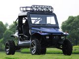 1100cc Dune Buggy 4X4 Go Cart