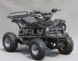 Electric Quad Bike (EA0801)
