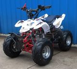 Christmas Gift Mademoto Quad Biking