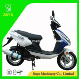 New Model 125cc Gasoline Scooters (Shark-125)