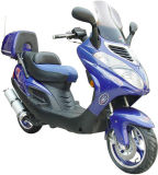 Scooter (ACE150T-5)