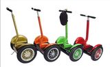 Chinese 2 Wheel Electric Scooter Self Balance Stand up Scooter/Electric Mobility Scooter