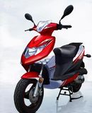 Gas Scooter (LB125T-21(B11))