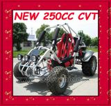 250CC CVT Go Kart (MC-462)