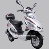 50cc Gas Scooter (YL50QT-4A)