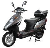 Electric Scooter (BS-BXJG)