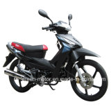 110cc/100cc/70cc/50cc Motorcycle (New Wolf)