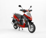 50cc Popular Gasoline Scooter (SP50QT-02)