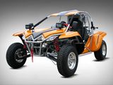 650 800cc 1100cc 4 Cylinder Liquid-Cooling 4-Stroke EEC Buggy