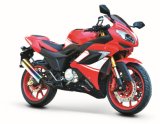 Motorcycle (BRG150/200/250-21 SPORTS)