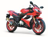 Motorcycle (BRG150/200/250-21 SPORTS)