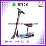 Electric Vehicle (SX-E1013-120)