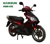 Electric Scooter (HSM-516)