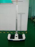 Popular Newest 8 Inch Self-Balancing Electric Scooters