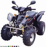 200CC ATV (GS-BEST-ATV21)