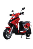 EEC&Coc 2000W Electric Scooter (SX-EB-007)