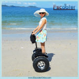 Self Balancing Sea Scooter for Personal Mobility in Summer